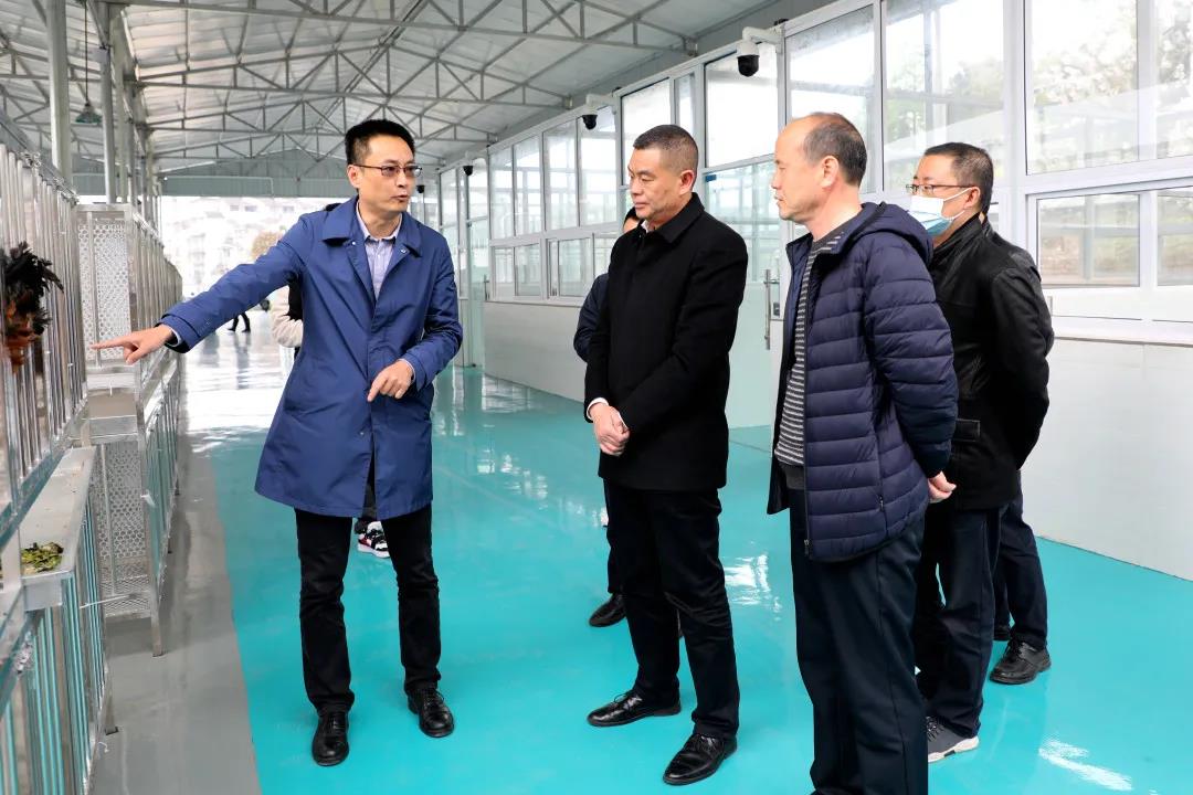 微信图片_20200404200316.jpg