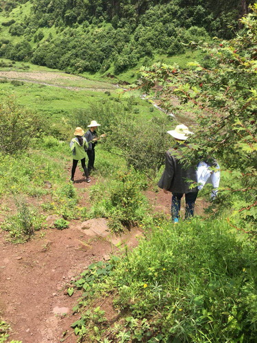 2019年7月，到农村预防接种，来回走山路5个多小时.jpg