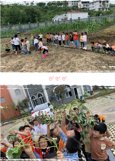 QQ图片20200607094619.png