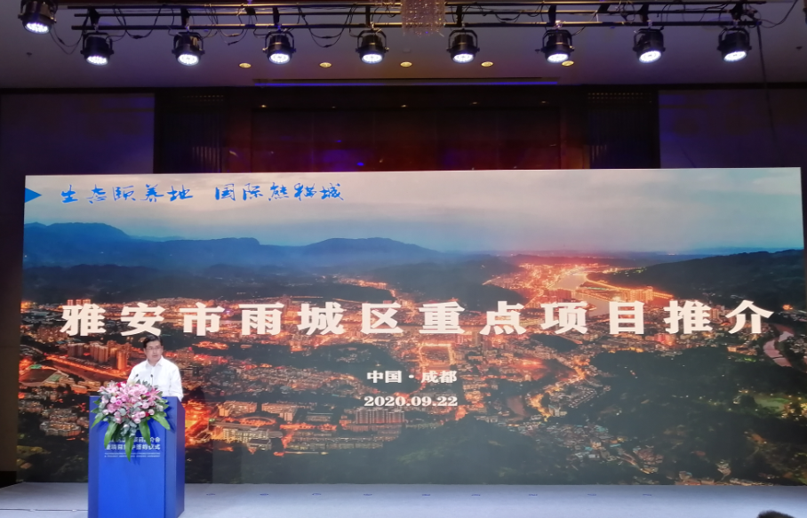 雨城区委副书记、区长陈建伟推介雨城区重点项目.png