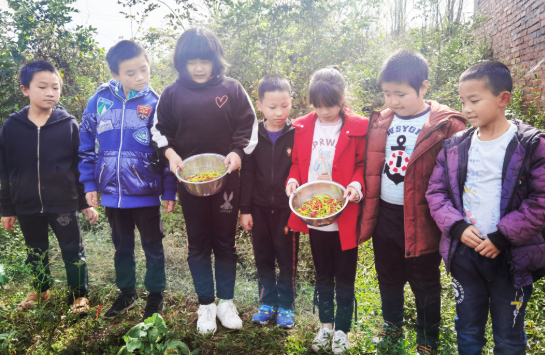 QQ图片20201021170245.png