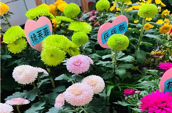 QQ图片20201106094433.png
