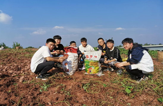QQ图片20201108103442.png