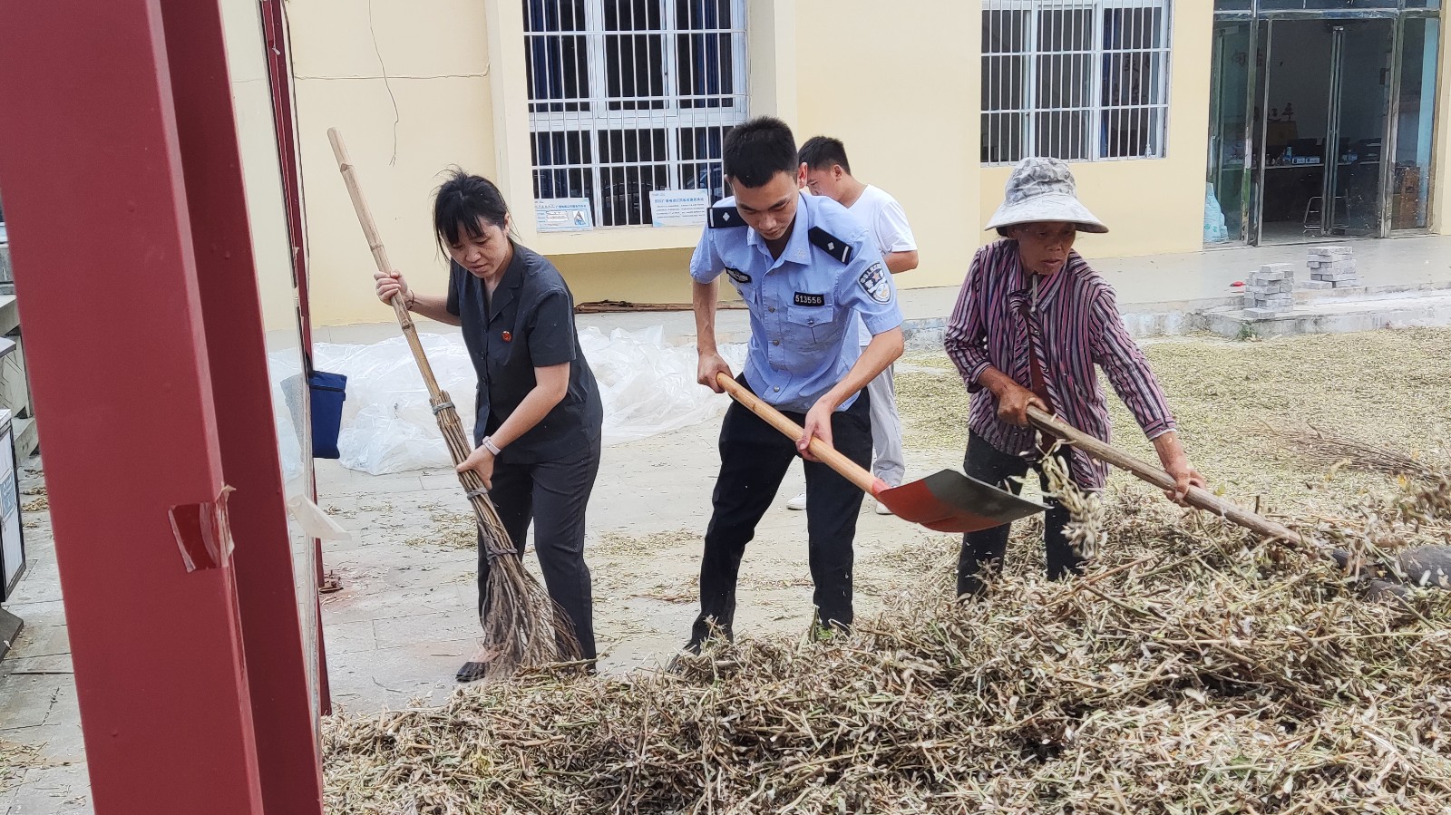 图片1：法院干警和农户一起收黄豆.jpg