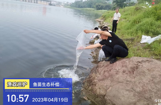 QQ图片20230613151942.png