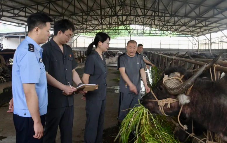 烟火知嘉：筑牢美食司法防火墙，激发舌尖新质生产力