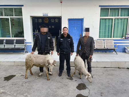 微信图片_20250326194238.png
