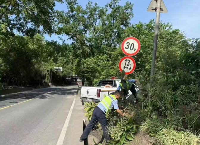 1748156967852.png